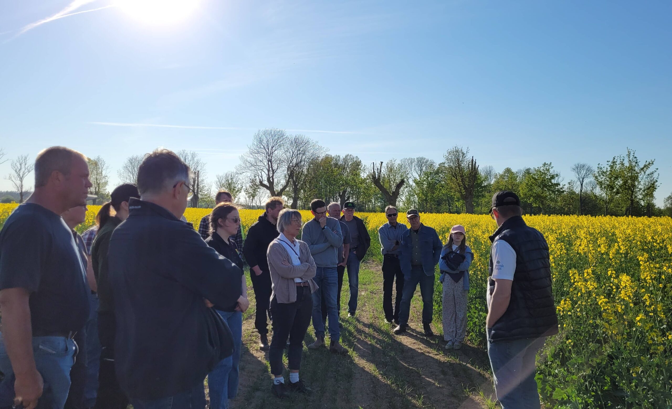 Gfo Årsmöte 2024låg